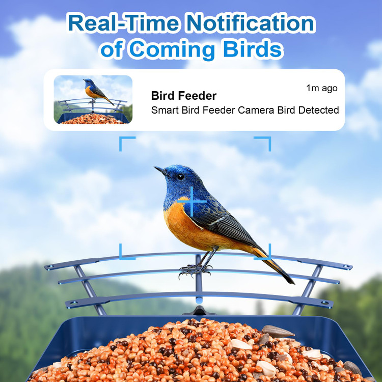 قفسه طوطی کاسکو