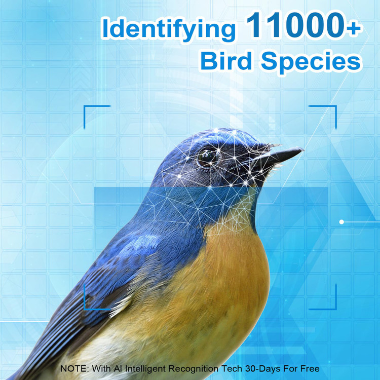 عکاسی از پرنده