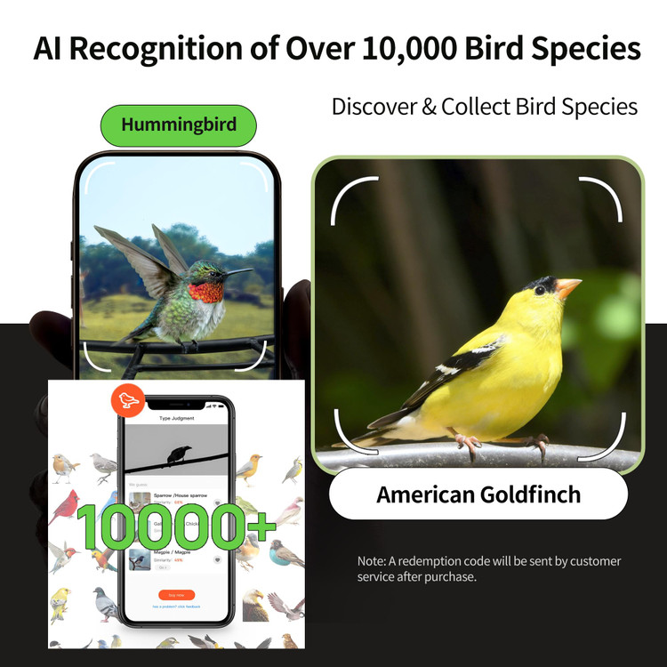 دوربین پرنده نگری