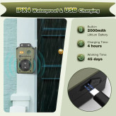 آموزش سگ بدون قلاده