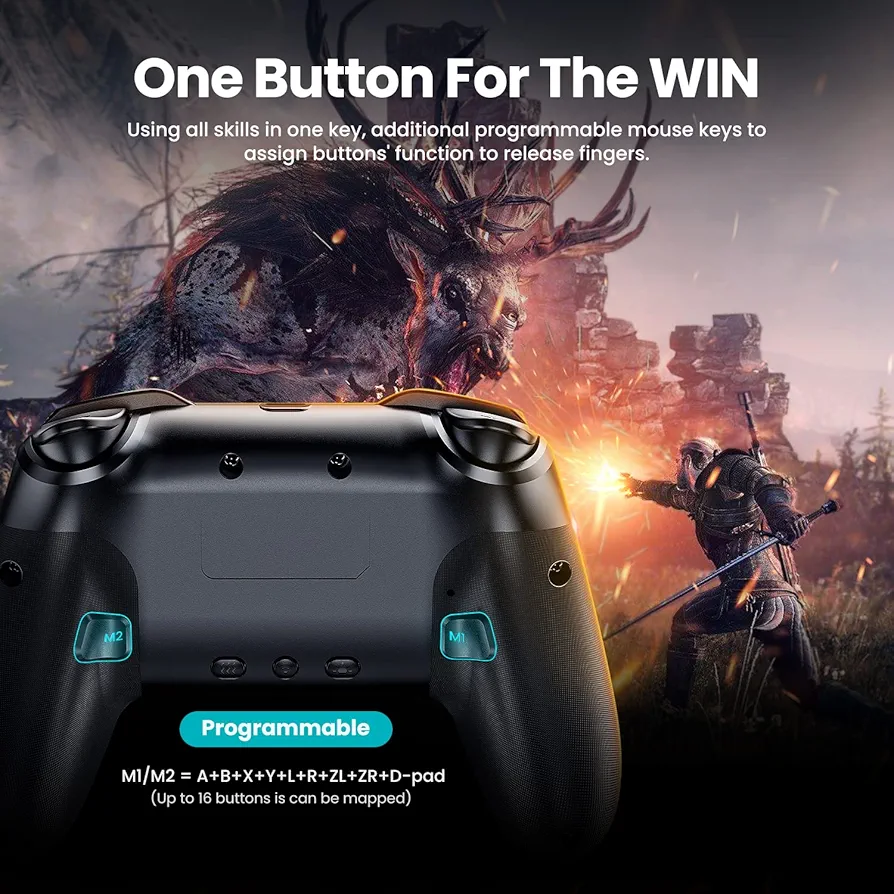 کنترلر Nintendo Switch چندپلتفرمی