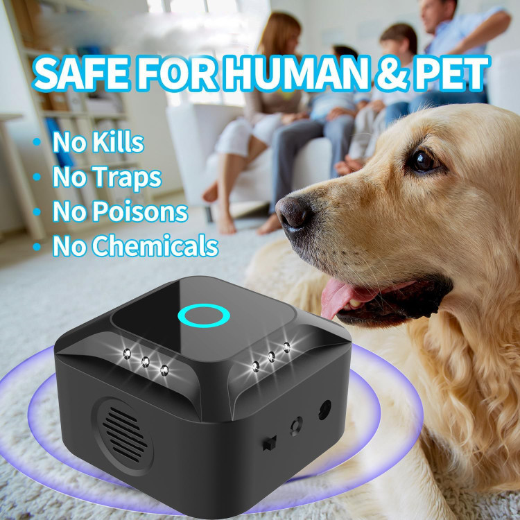 دفع موش بدون سم