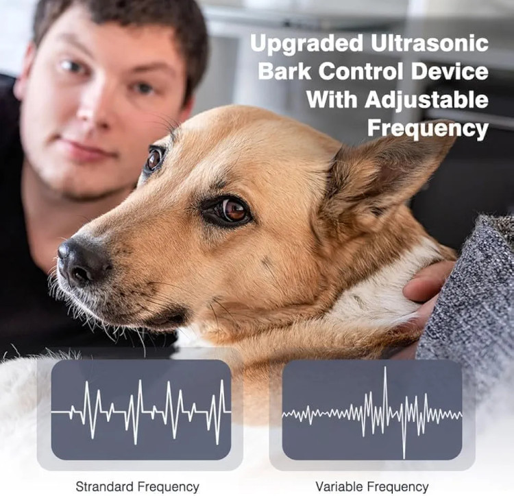 Bubbacare ضد پارس