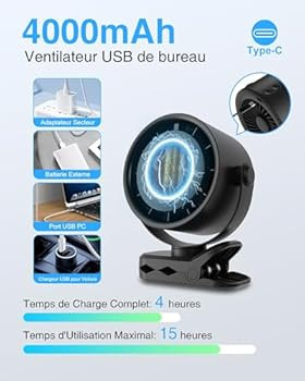 فن قابل حمل