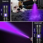 چراغقوه فرابنفش برای عقرب