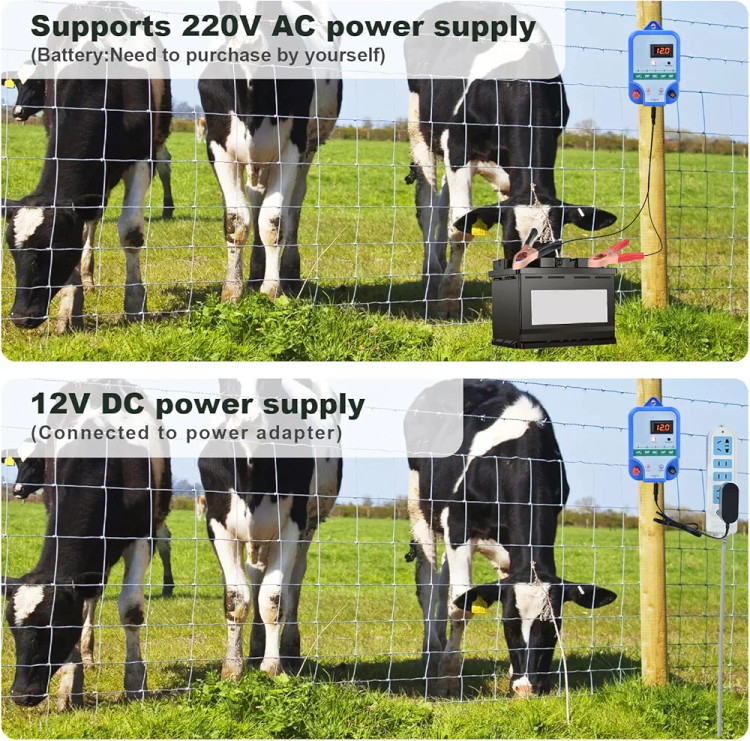 فنس برقی دام